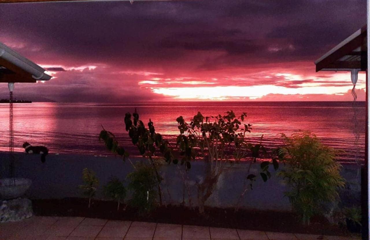 Tahiti - Taharaa Beach Bungalow アルヴ エクステリア 写真